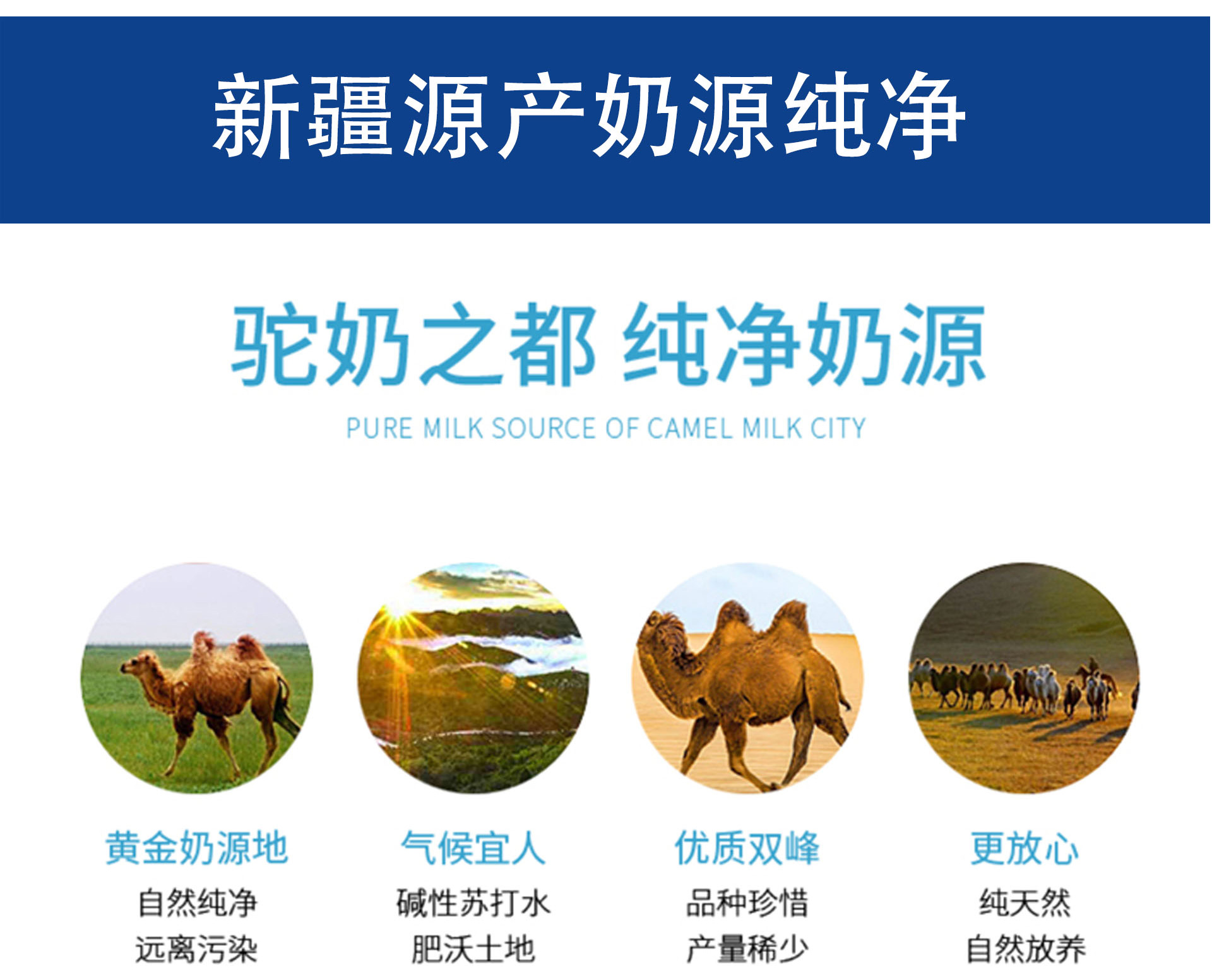 西域之嘉益生菌配方驼乳粉